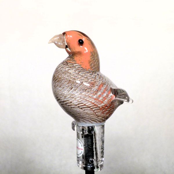 Gartenvogel Rebhuhn - Vogel des Jahres 2026